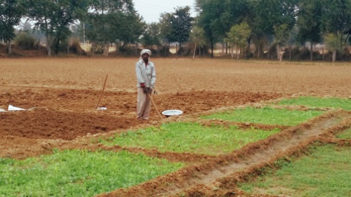 Ikaki Bagh is part of a growing movement re-discovering traditional Indian composting practices