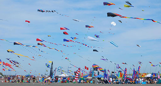 Celebrating Kites